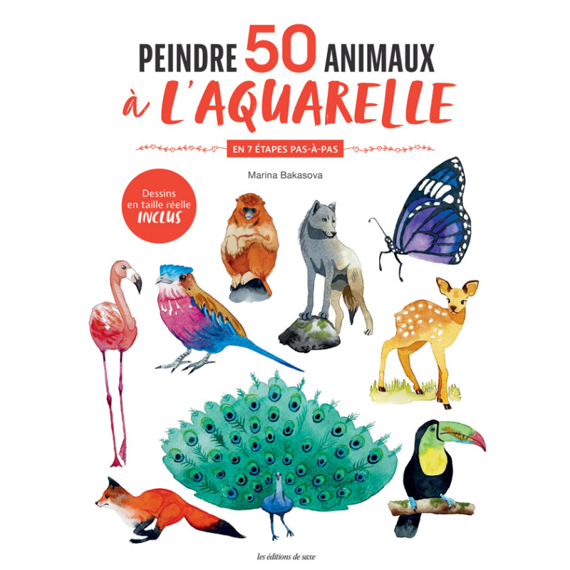 Peintre 50 animaux à l'aquarelle Livre Beaux-arts