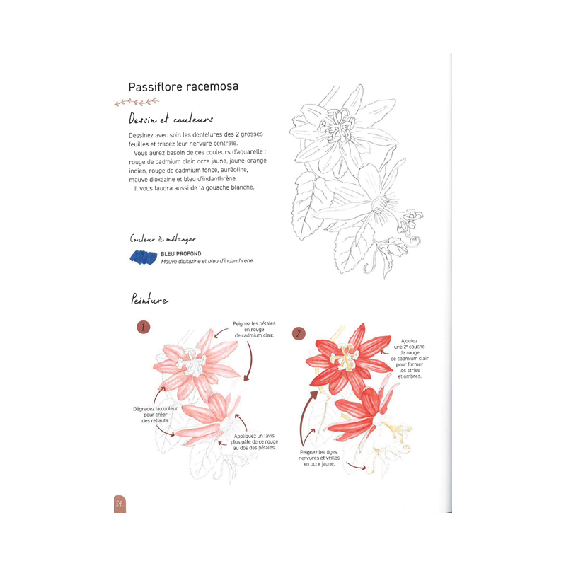 Peindre 50 fleurs à l'aquarelle Livre Beaux-arts