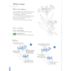 Peindre 50 fleurs à l'aquarelle Livre Beaux-arts