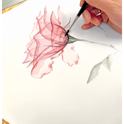 Peindre des fleurs transparentes à l'aquarelle Livre Beaux-arts