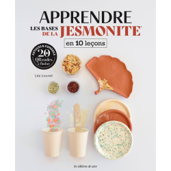 Apprendre les bases de la Jesmonite en 10 leçons Livre Loisirs créatifs