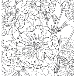 Fleurs sauvages - Coloriages pour me détendre Livre Beaux-arts