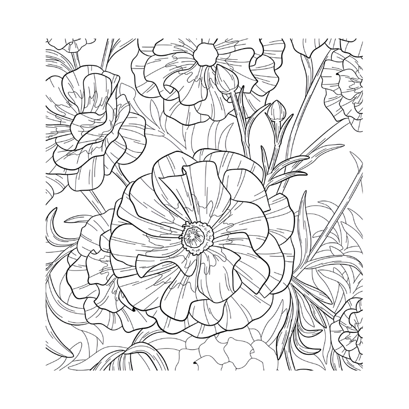 Fleurs sauvages - Coloriages pour me détendre Livre Beaux-arts