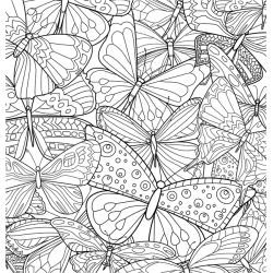 Papillons vagabonds - Coloriages pour me détendre Livre Beaux-arts